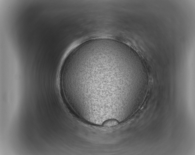 X0000113020006200909031241