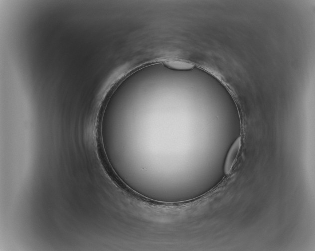 X0000113020007200909031241