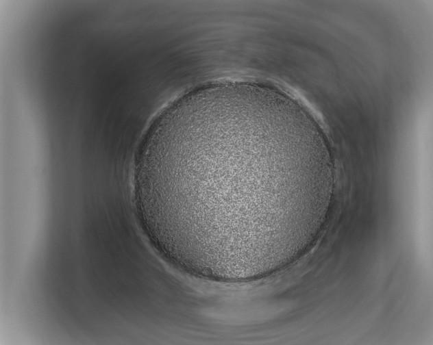 X0000113020010200909031241