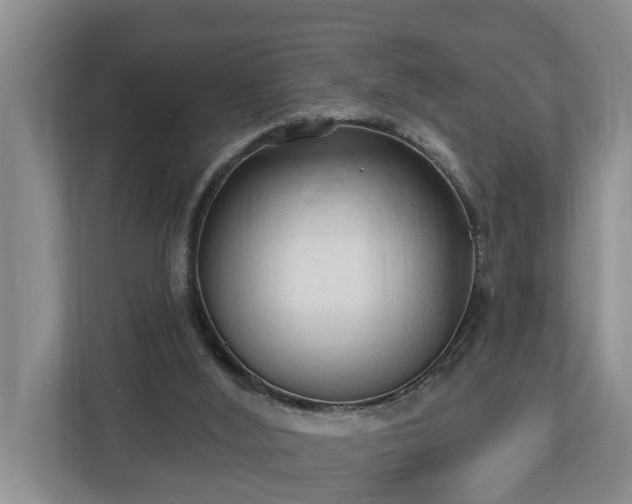 X0000113020012200909031241