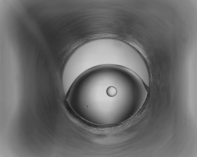 X0000113020013200909031241