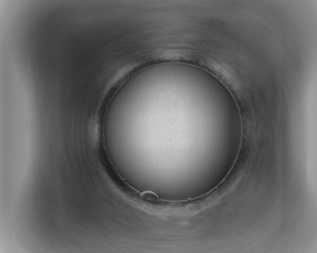 X0000113020016200909031241