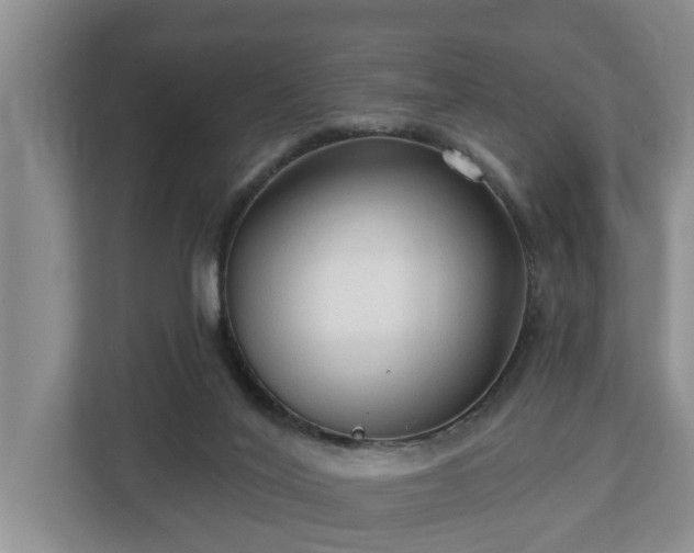 X0000113020020200909031240