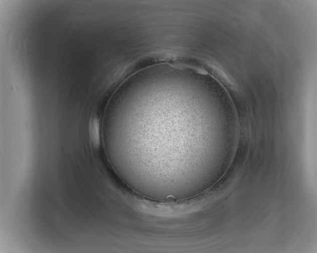 X0000113020022200909031240