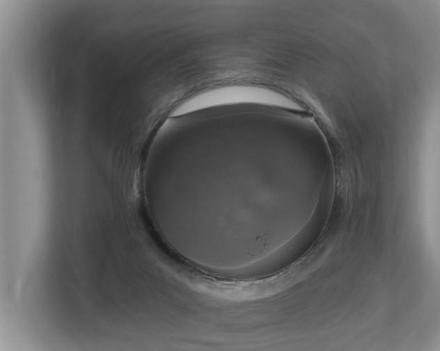 X0000113020023200909031240