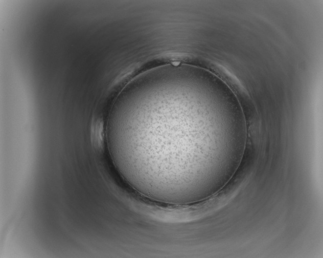 X0000113020024200909031240
