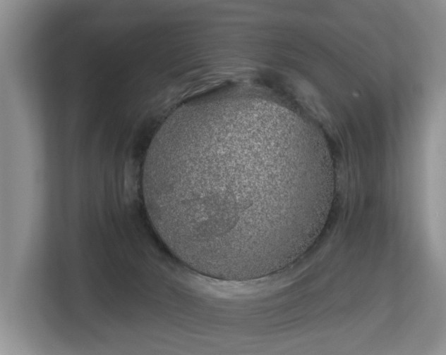 X0000113020030200909031240