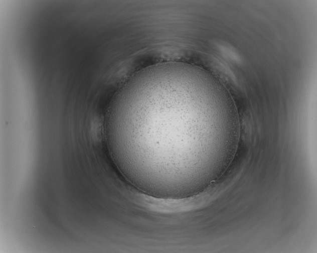 X0000113020034200909031240