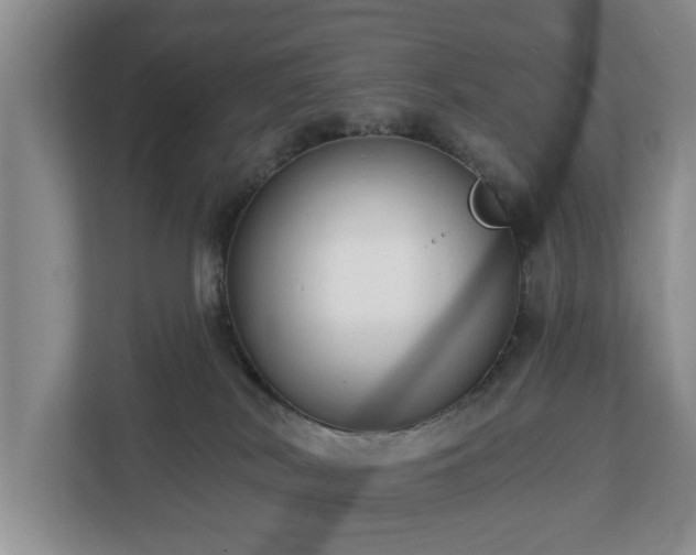X0000113020038200909031240