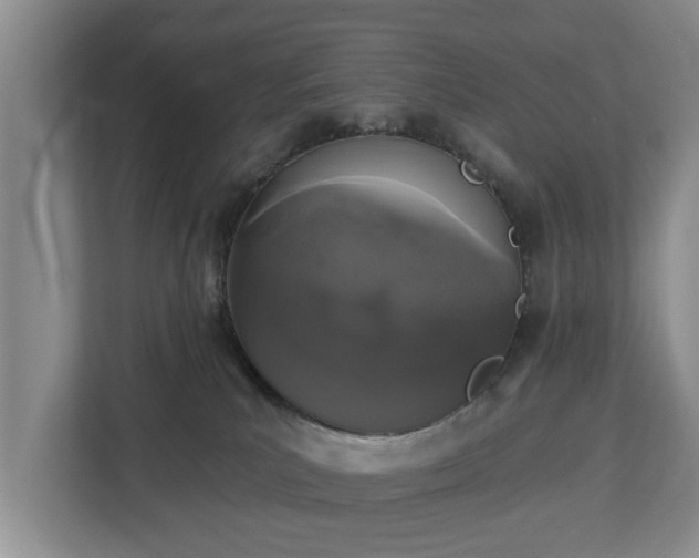 X0000113020039200909031240