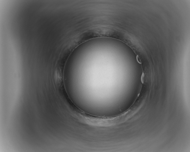 X0000113020040200909031240
