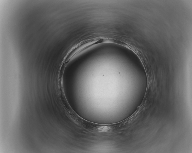 X0000113020050200909031240