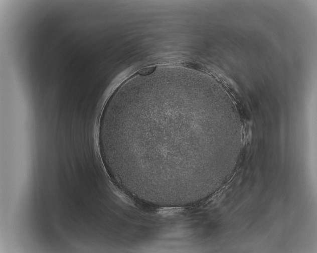 X0000113020051200909031240