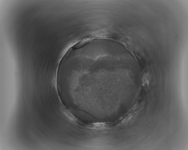 X0000113020052200909031240