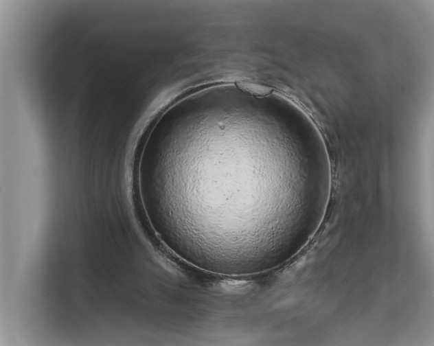 X0000113020055200909031240