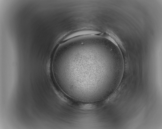 X0000113020058200909031240