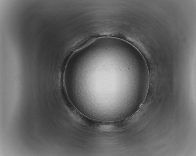 X0000113020066200909031240