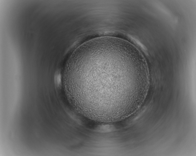 X0000113020067200909031240