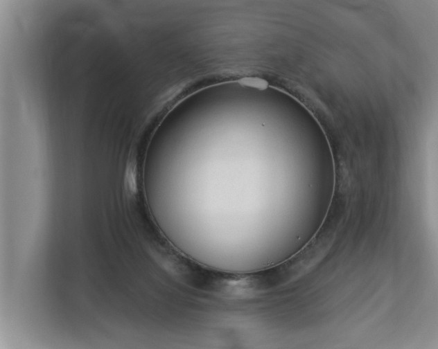 X0000113020068200909031240