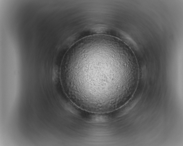 X0000113020073200909031240