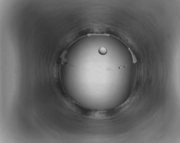 X0000113020078200909031240