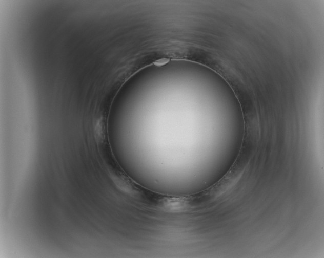 X0000113020088200909031240