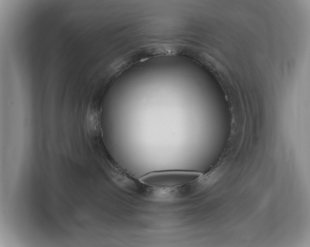 X0000113020096200909031240