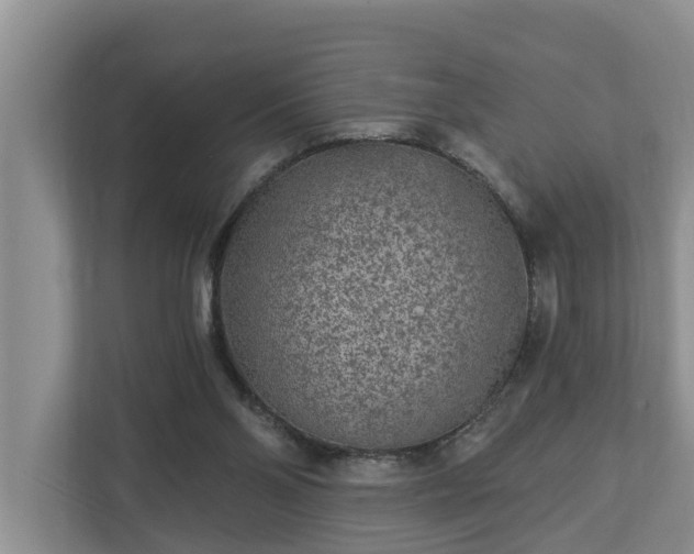 X0000113020110200909031239