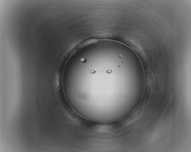X0000113020115200909031239