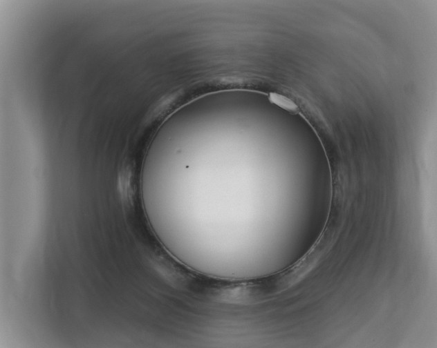 X0000113020116200909031239