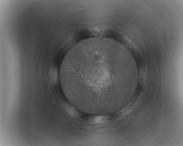 X0000113020130200909031239