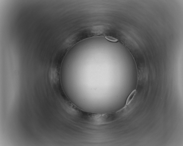 X0000113020136200909031239