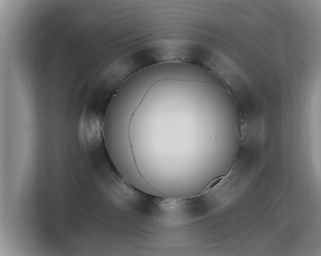 X0000113020142200909031239