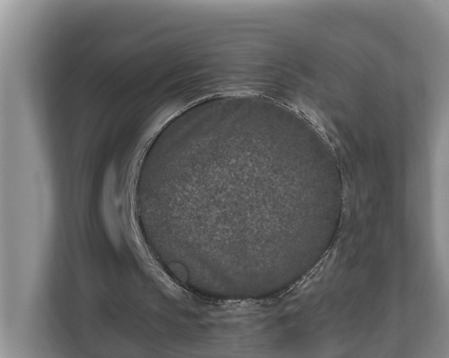 X0000113020145200909031238