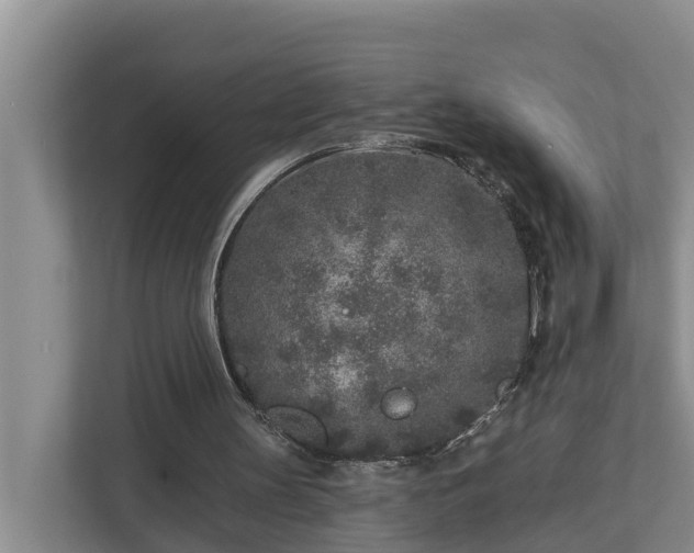 X0000113020147200909031238
