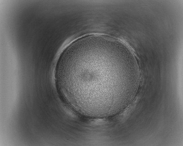 X0000113020151200909031238