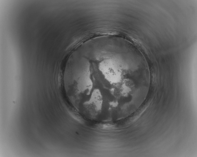 X0000113020165200909031239