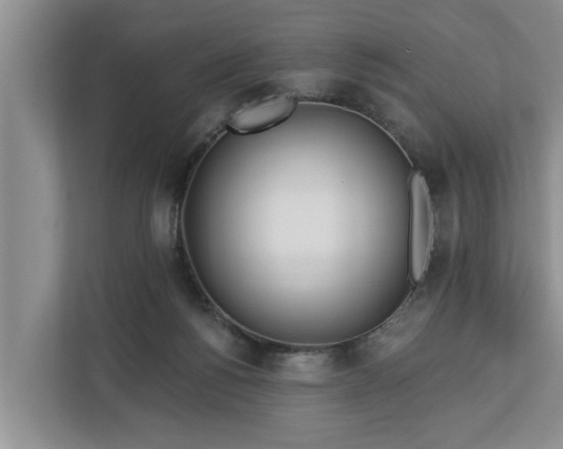 X0000113020168200909031239