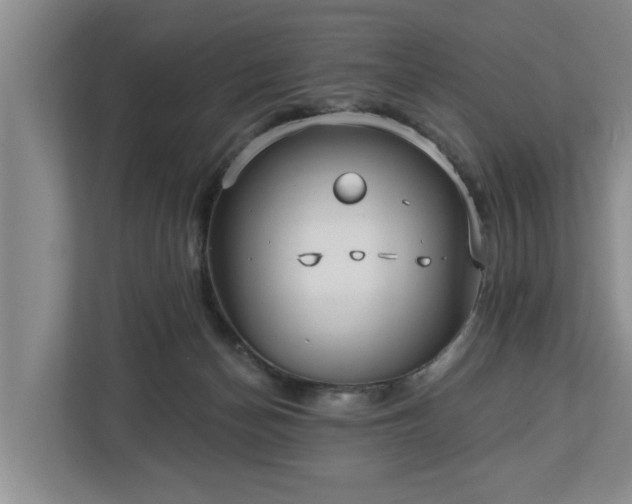 X0000113020174200909031239