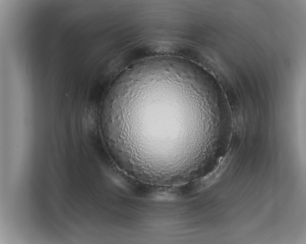 X0000113020175200909031239