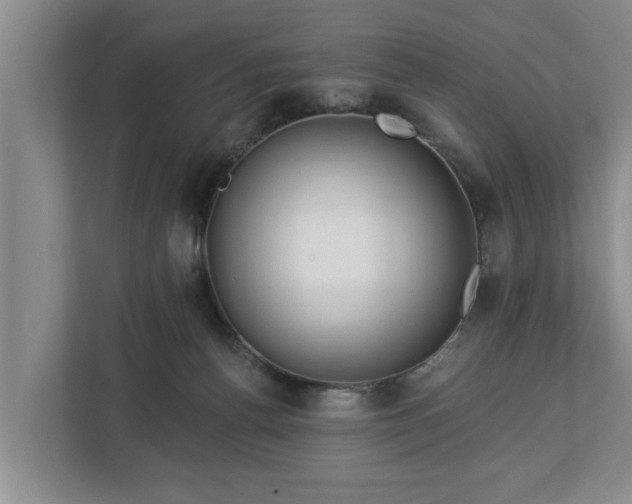 X0000113020176200909031239