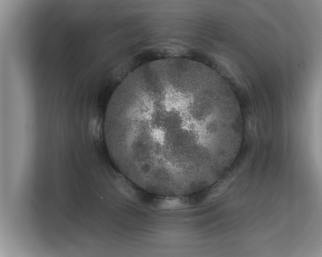 X0000113020177200909031239