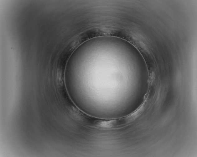 X0000113020178200909031239