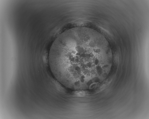 X0000113020181200909031239