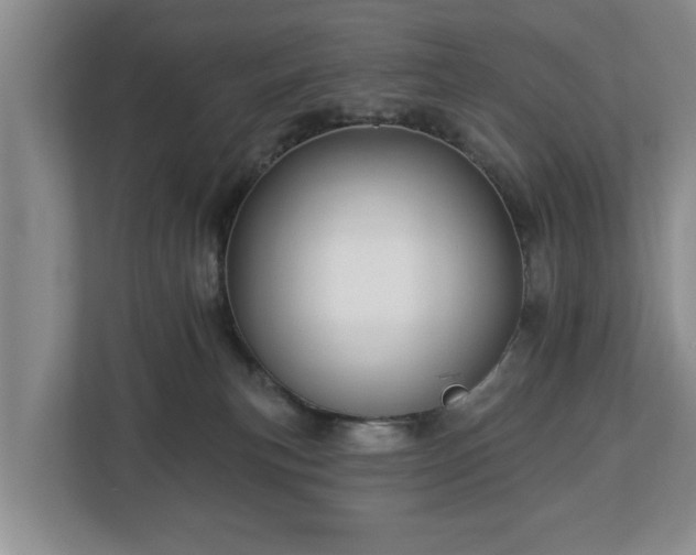 X0000113020183200909031239