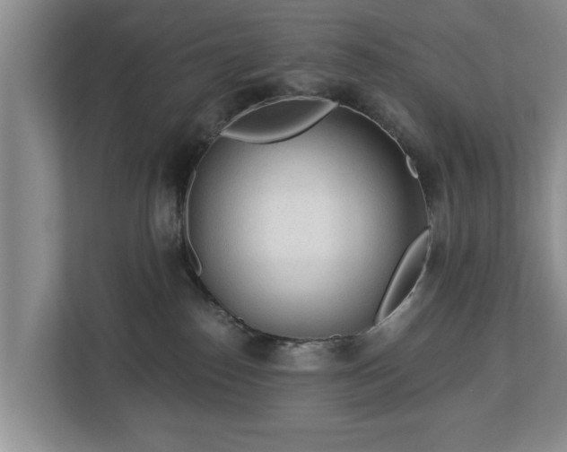 X0000113020186200909031239