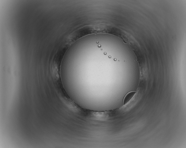 X0000113020187200909031239