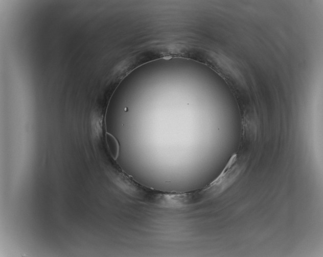 X0000113020188200909031239