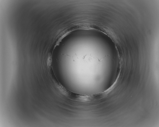 X0000113020190200909031239