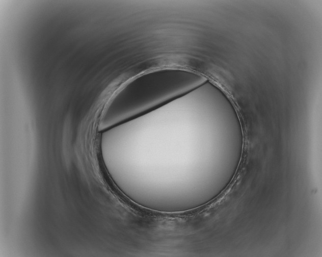 X0000113020193200909031238